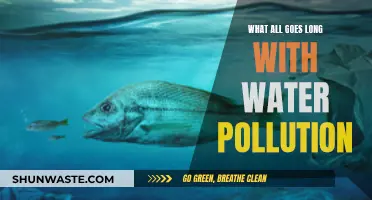 Unveiling the Complex Web: What All Contributes to Water Pollution