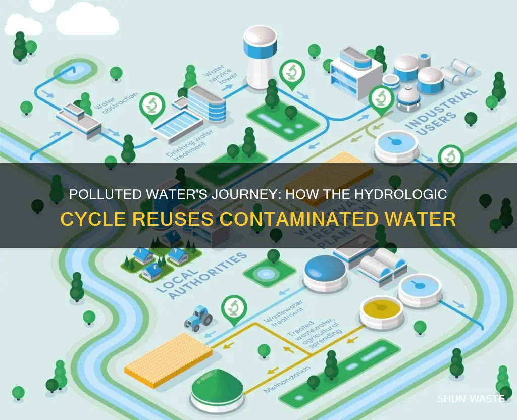 what allows polluted water to be reused hydrologic cycle