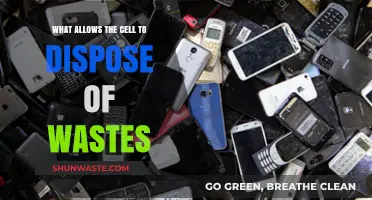 Efficient Waste Disposal: The Cellular Cleanup Crew in Action