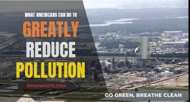 Simple Ways Americans Can Reduce Pollution Significantly