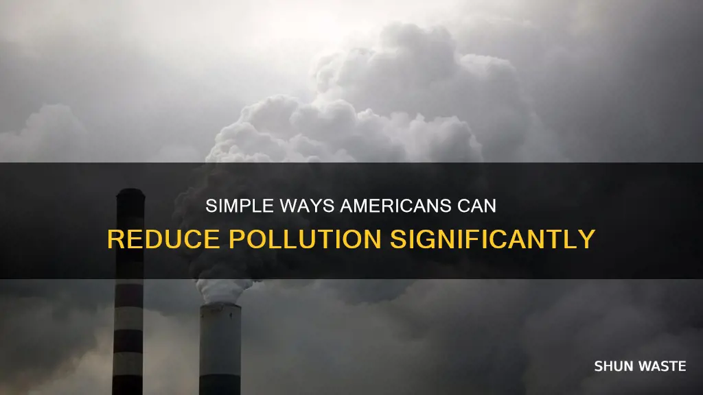 what americans can do to greatly reduce pollution