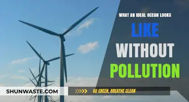 Ocean Paradise: Pollution-Free Seas