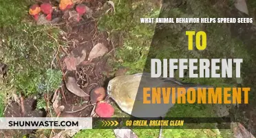 Seed Dispersal Secrets: How Animals Shape Ecosystems and Spread Life