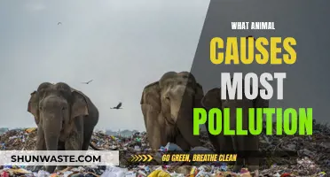 The Surprising Animal Culprit: Who's Causing the Most Pollution?