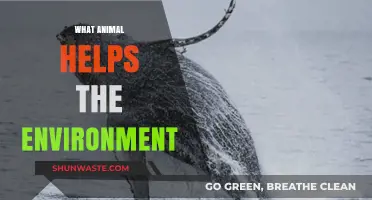 How Earth's Unsung Heroes: Animals That Protect and Restore Our Environment
