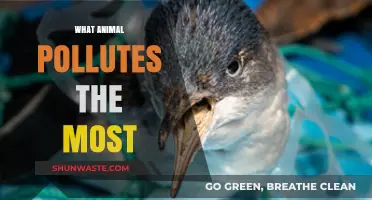 Which Species is the Planet's Worst Polluter?