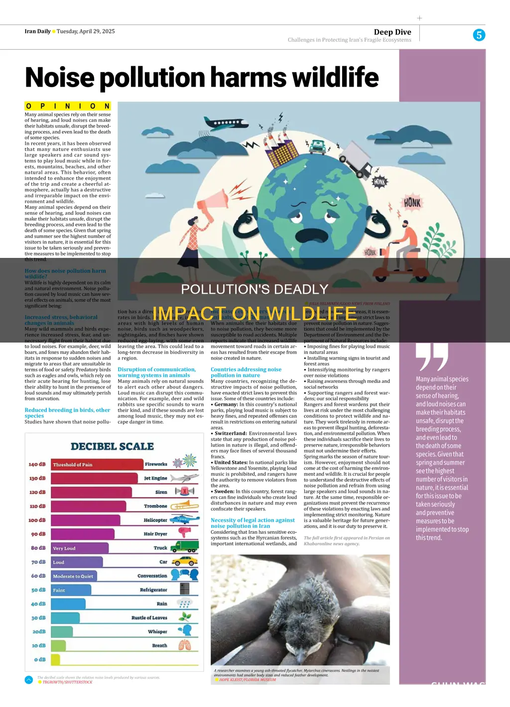 what animals are dying because of pollution