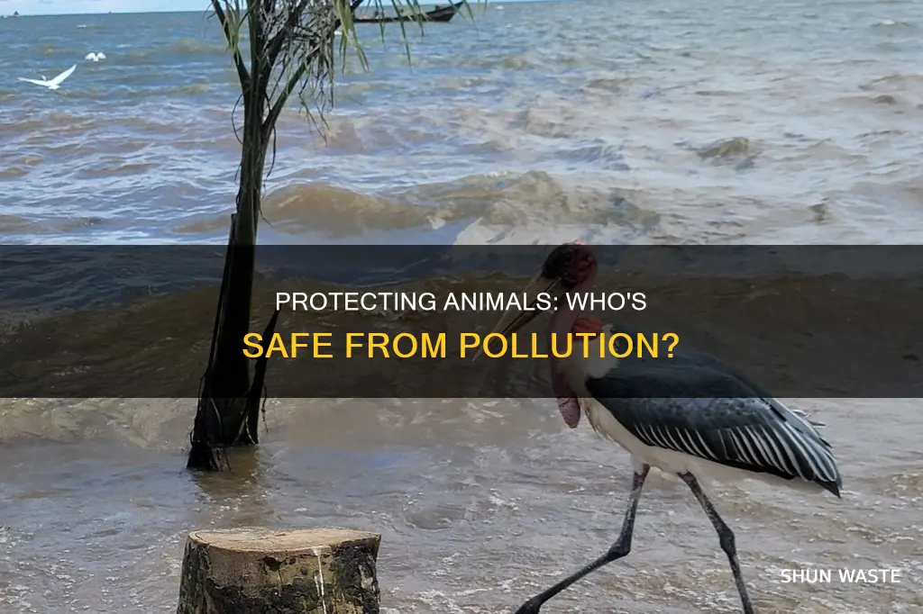 what animals are protected from pollution