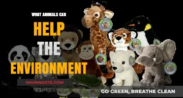 Eco-Heroes: Animals That Play a Vital Role in Saving Our Planet