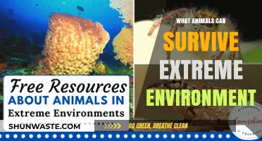 Extreme Survivors: Animals Thriving in Earth's Harshest Environments