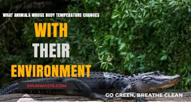 Cold-Blooded Creatures: Exploring Animals with Environment-Dependent Body Temperatures