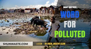 Contaminated Chaos: Exploring Pollution Synonyms