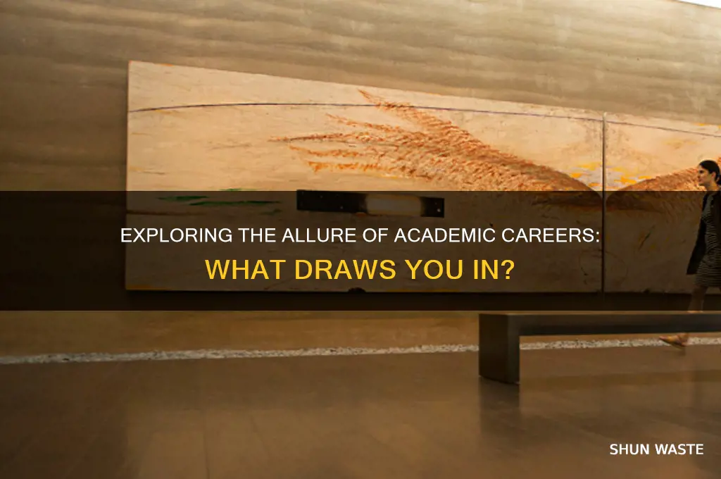 what appeals you to work in an academic environment