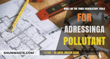 Strategies to Combat Pollution: Regulatory Tools Explained