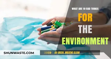 Harmful Habits: 10 Eco-Damaging Practices Destroying Our Planet