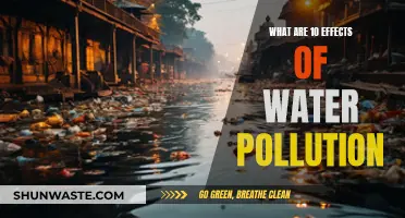 Unveiling the Devastating Impact: 10 Effects of Water Pollution