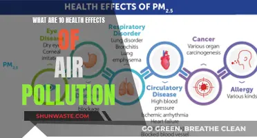 Air Pollution: 10 Damaging Health Effects Revealed