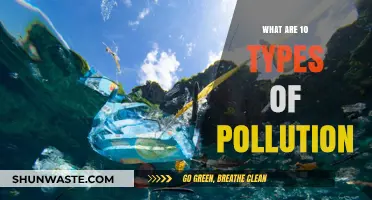 Pollution Types: Understanding the Many Ways We Pollute
