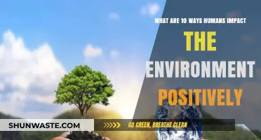 Positive Human Impact: 10 Ways We're Shaping a Greener Future