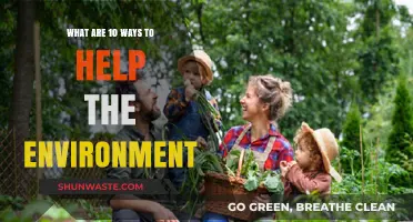 Sustainable Living: 10 Practical Ways to Protect Our Planet