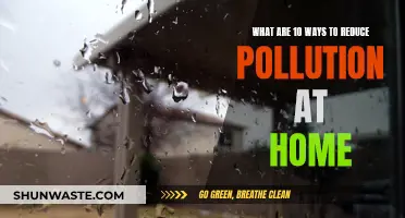 Easy Home Hacks to Reduce Pollution and Breathe Easy