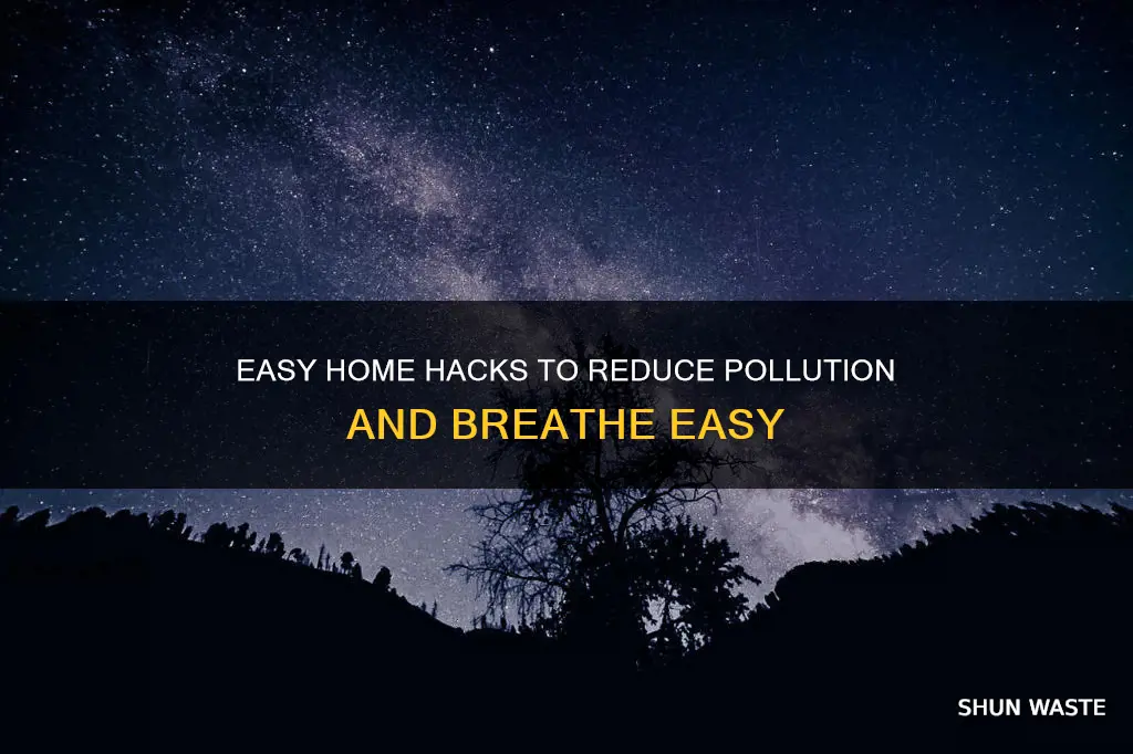 what are 10 ways to reduce pollution at home