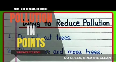 Simple Ways to Reduce Pollution and Save Our Planet