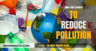 Easy Ways to Reduce Pollution and Save the Planet