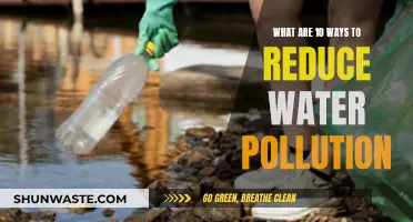 Ways to Reduce Water Pollution: Tips for Clean Water