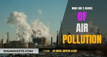 Unveiling the Hidden Causes: Air Pollution's Double Threat