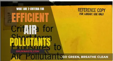 Air Quality Criteria: Two Key Factors for Efficient Monitoring
