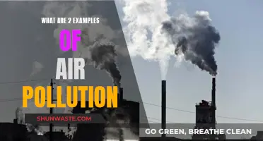 Air Pollution's Visible Impact: Two Examples Explained