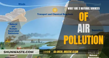 Natural Air Pollutants: Two Unseen Sources Revealed