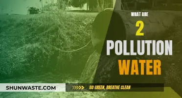 Unveiling the Hidden Dangers: Two Major Water Pollutants