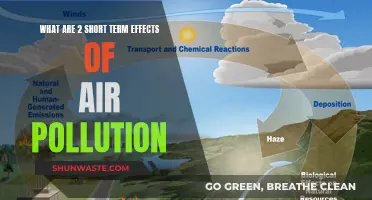 Air Pollution's Harmful Short-Term Effects on Our Health