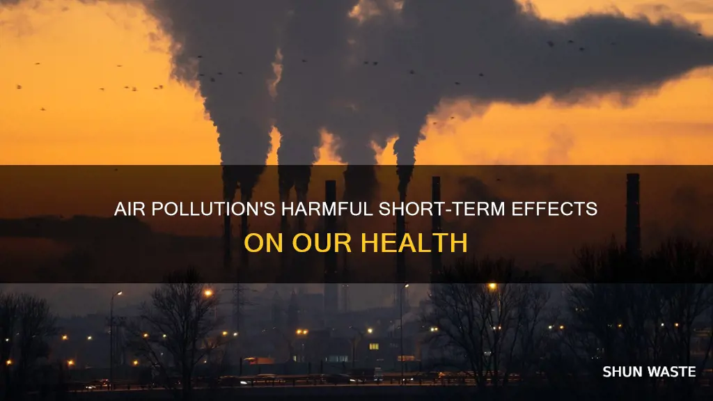 what are 2 short term effects of air pollution