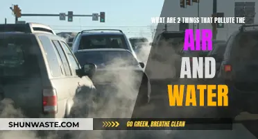 Air and Water Pollution: Two Major Environmental Threats