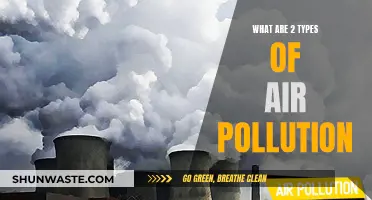 Understanding Primary and Secondary Air Pollution Types