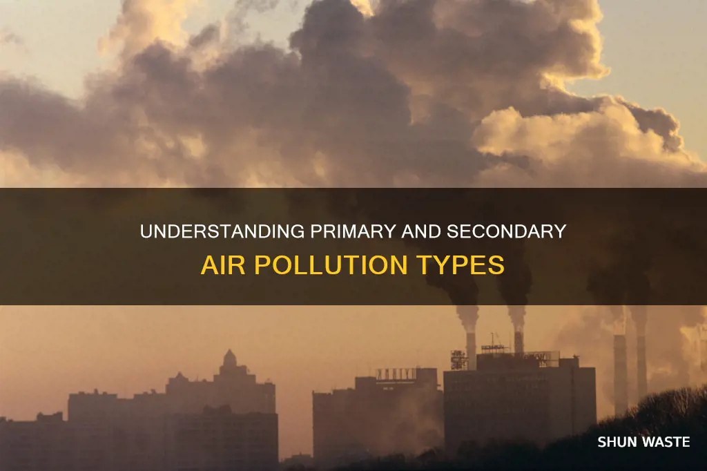 what are 2 types of air pollution