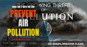 Strategies to Combat Air Pollution: A Two-Pronged Approach