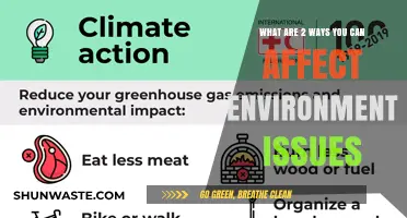 Impactful Steps: Two Simple Ways to Tackle Environmental Challenges