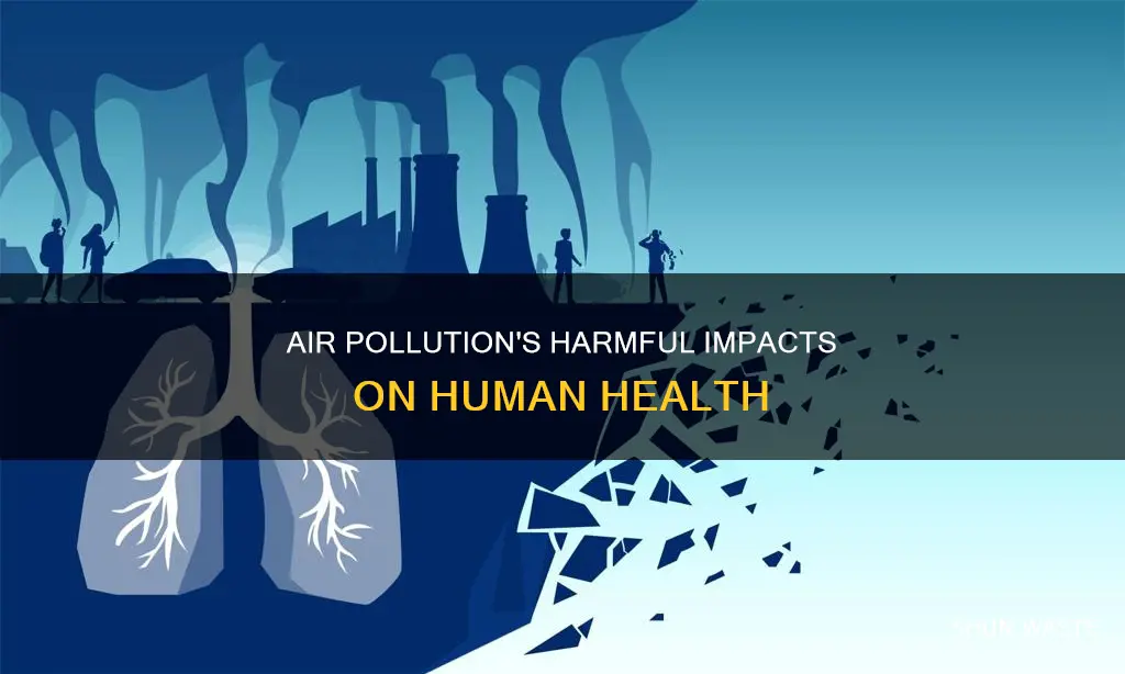 what are 3 effects of air pollution on human health