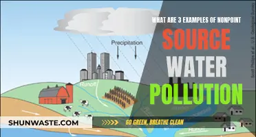 Understanding Nonpoint Source Pollution: 3 Common Examples