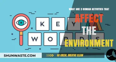 Human Actions and Their Impact: 3 Key Environmental Disruptors