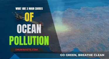 Unveiling the Ocean's Woes: Three Major Causes of Pollution