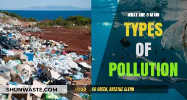Major Pollution Types: Air, Water, and Land