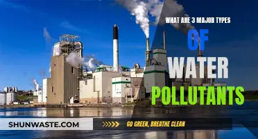 Unveiling the Hidden Dangers: Three Major Water Pollutants Explained