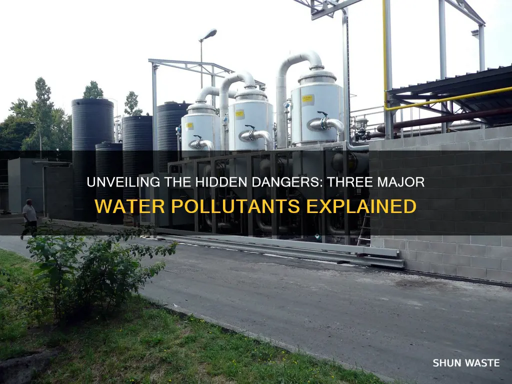 what are 3 major types of water pollutants