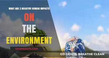 Human Actions Harming Our Planet: 3 Critical Environmental Impacts