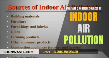 Indoor Air Quality: 3 Common Sources of Pollution